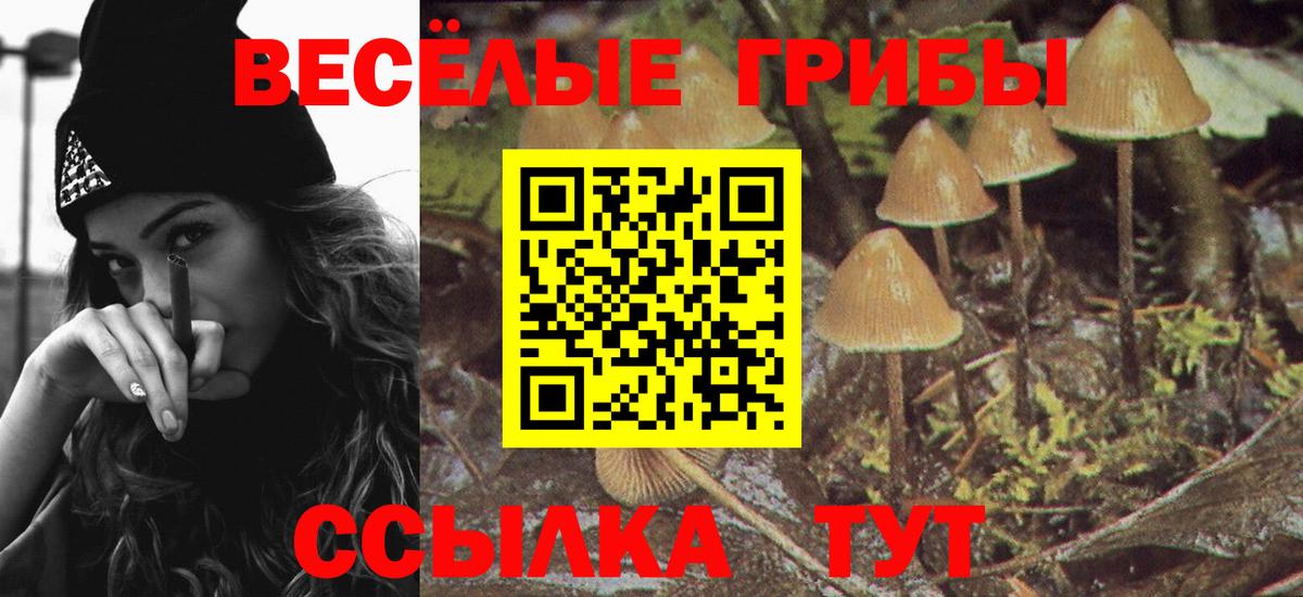Псилоцибиновые грибы Cubensis  Вход с VPN  Дербент 